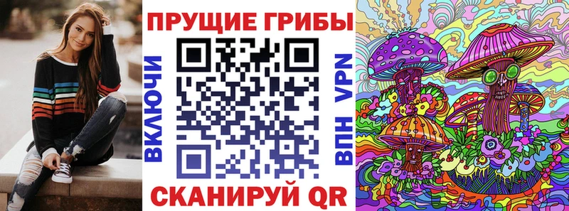 KRAKEN зеркало  где продают наркотики  Шадринск  Псилоцибиновые грибы Cubensis 