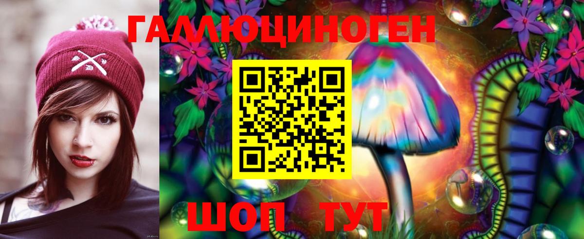 Галлюциногенные грибы Psilocybine cubensis Шадринск