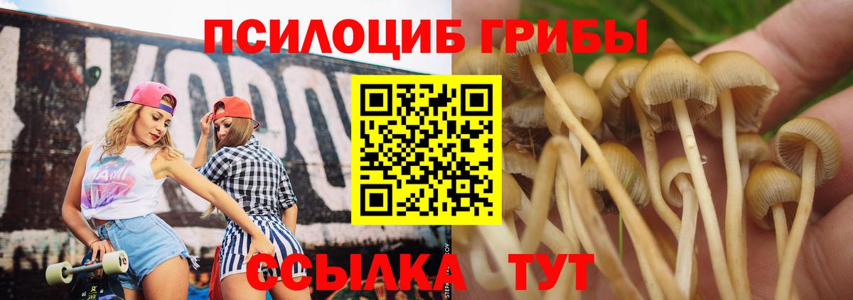цена наркотик  Псилоцибиновые грибы мицелий  Вход с VPN  Шадринск 