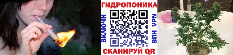 МАРИХУАНА гибрид  МЕГА ссылки  Шадринск  где найти  